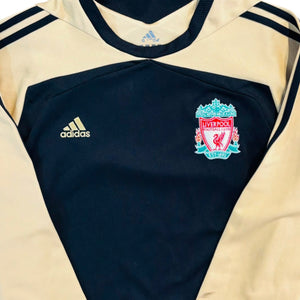 Liverpool FC 2008/09 Training Sweater (Small)