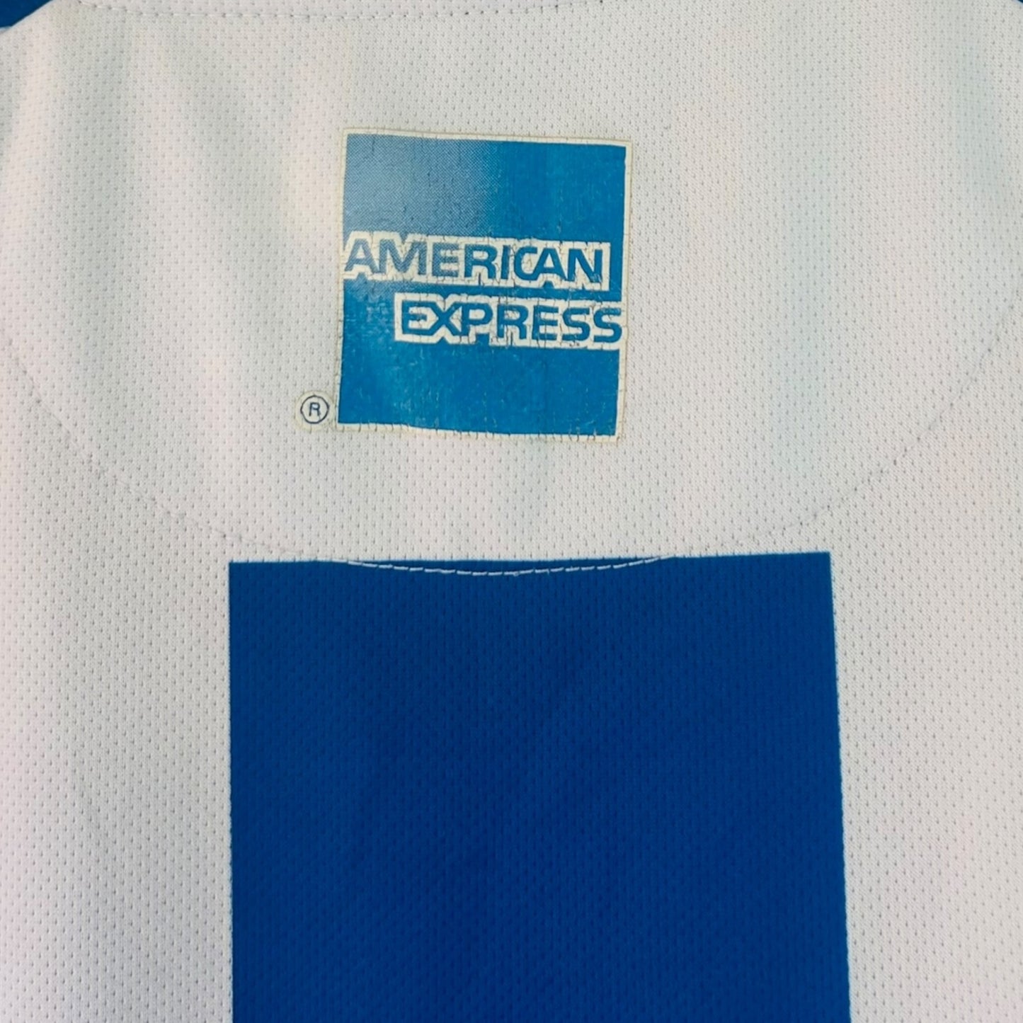 Brighton & Hove Albion FC 2013/14 Home (Small)
