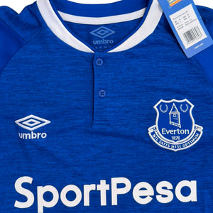 Everton 2018/19 Home (Medium)