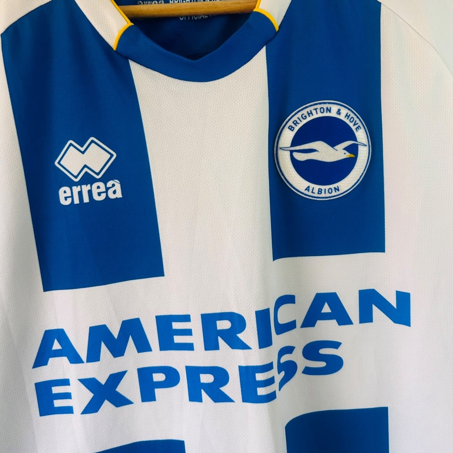 Brighton & Hove Albion FC 2013/14 Home (Small)