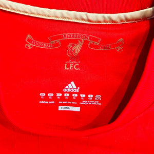 Liverpool FC 2010/11 Home- Torres 9 (XL)