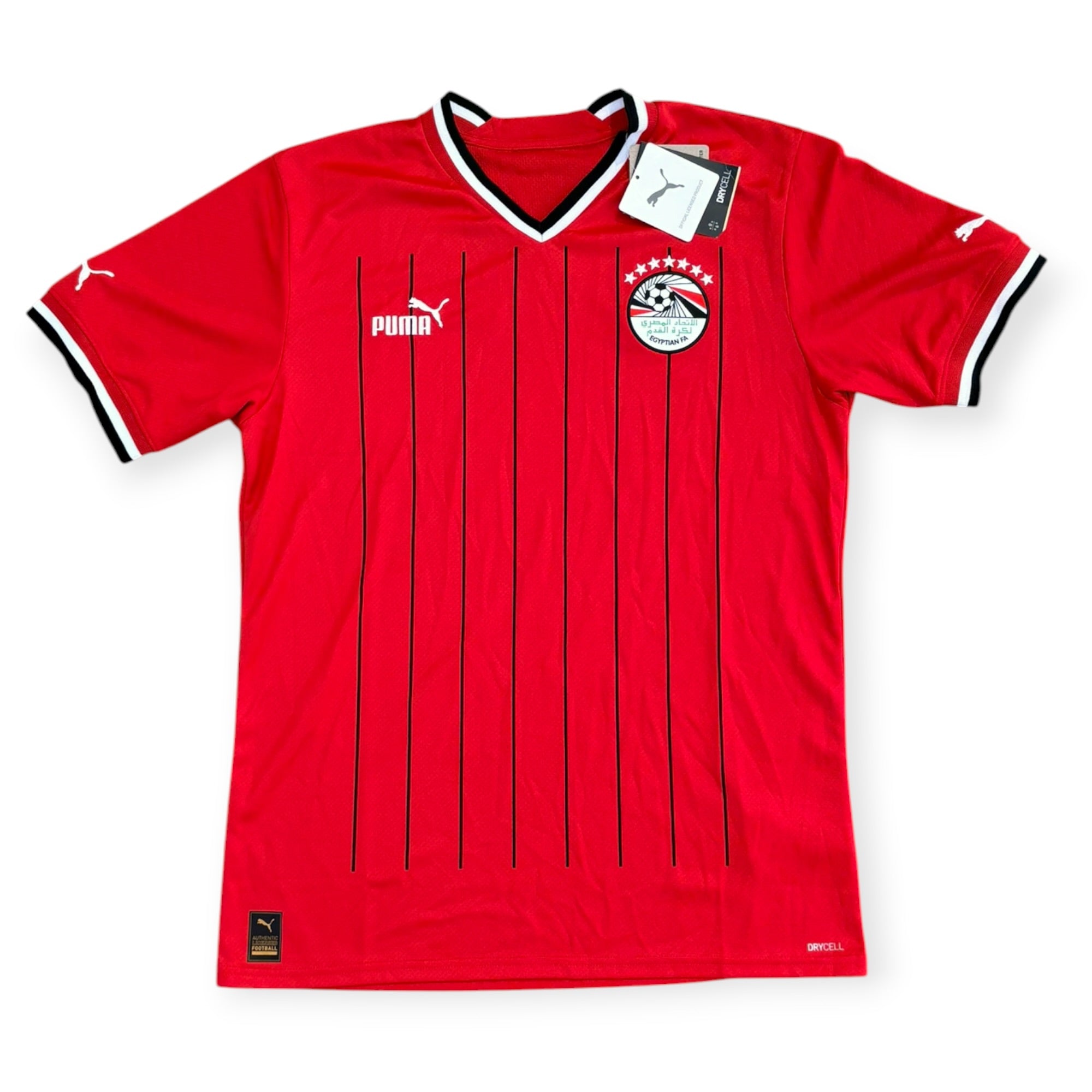 Egypt 2022 Home *New* (Medium)