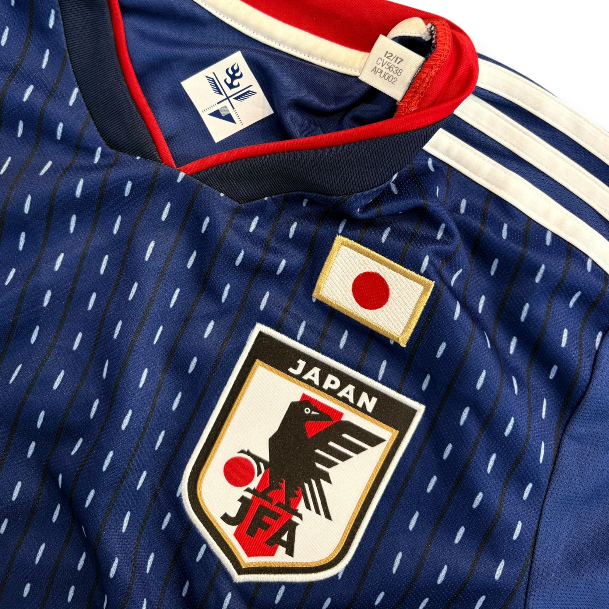 Japan 2018 Home (Medium)