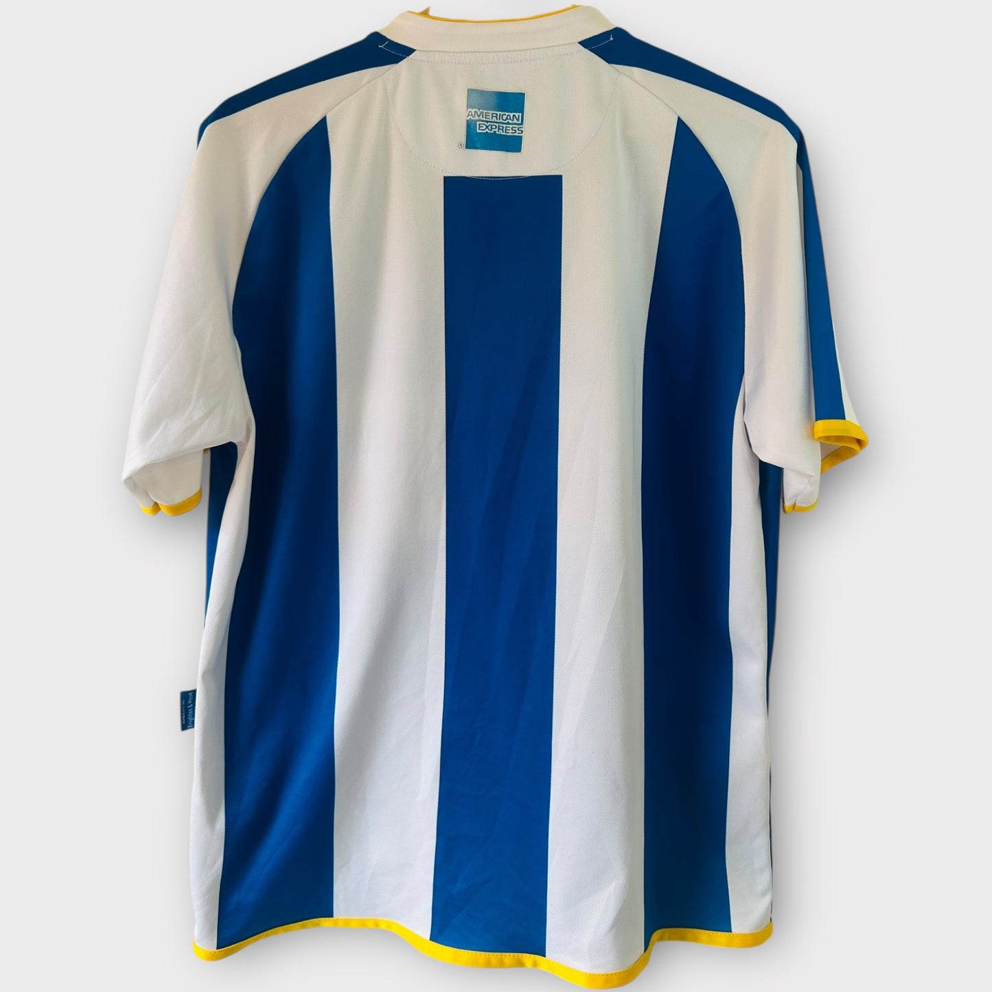Brighton & Hove Albion FC 2013/14 Home (Small)