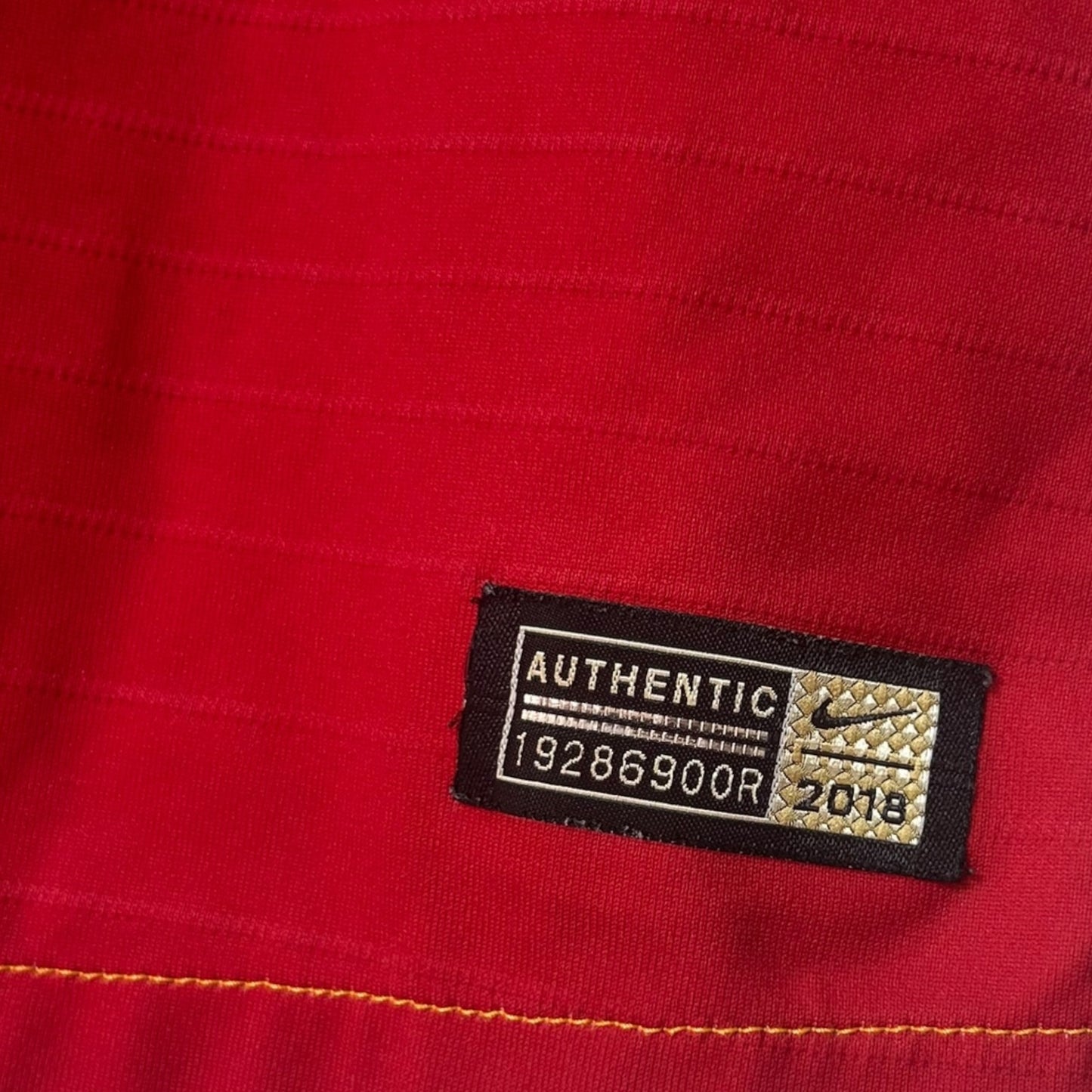 Galatasaray 2018/19 Home Player Version (Medium)