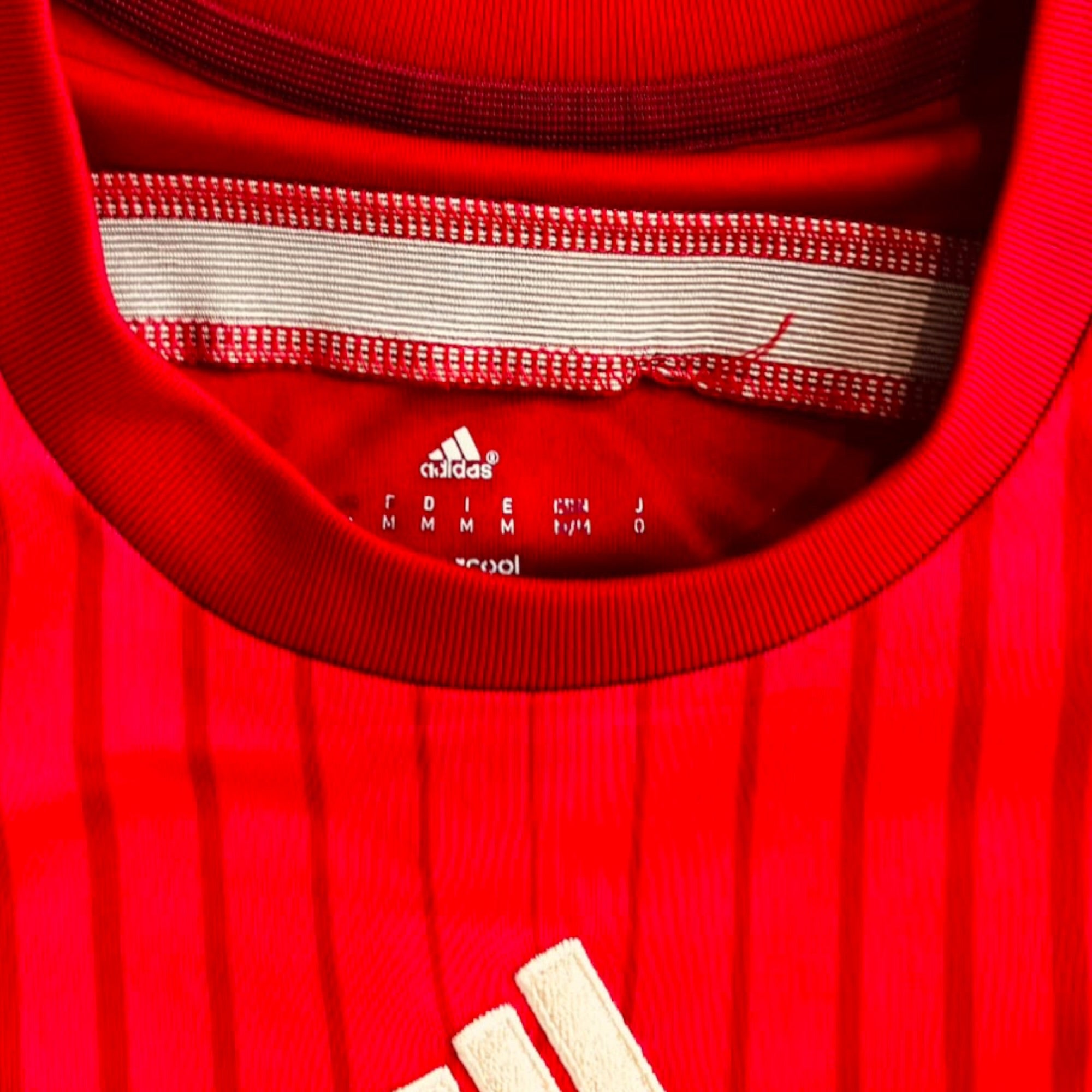 Spain 2014 Home - Sergio Ramos 15 (Medium)