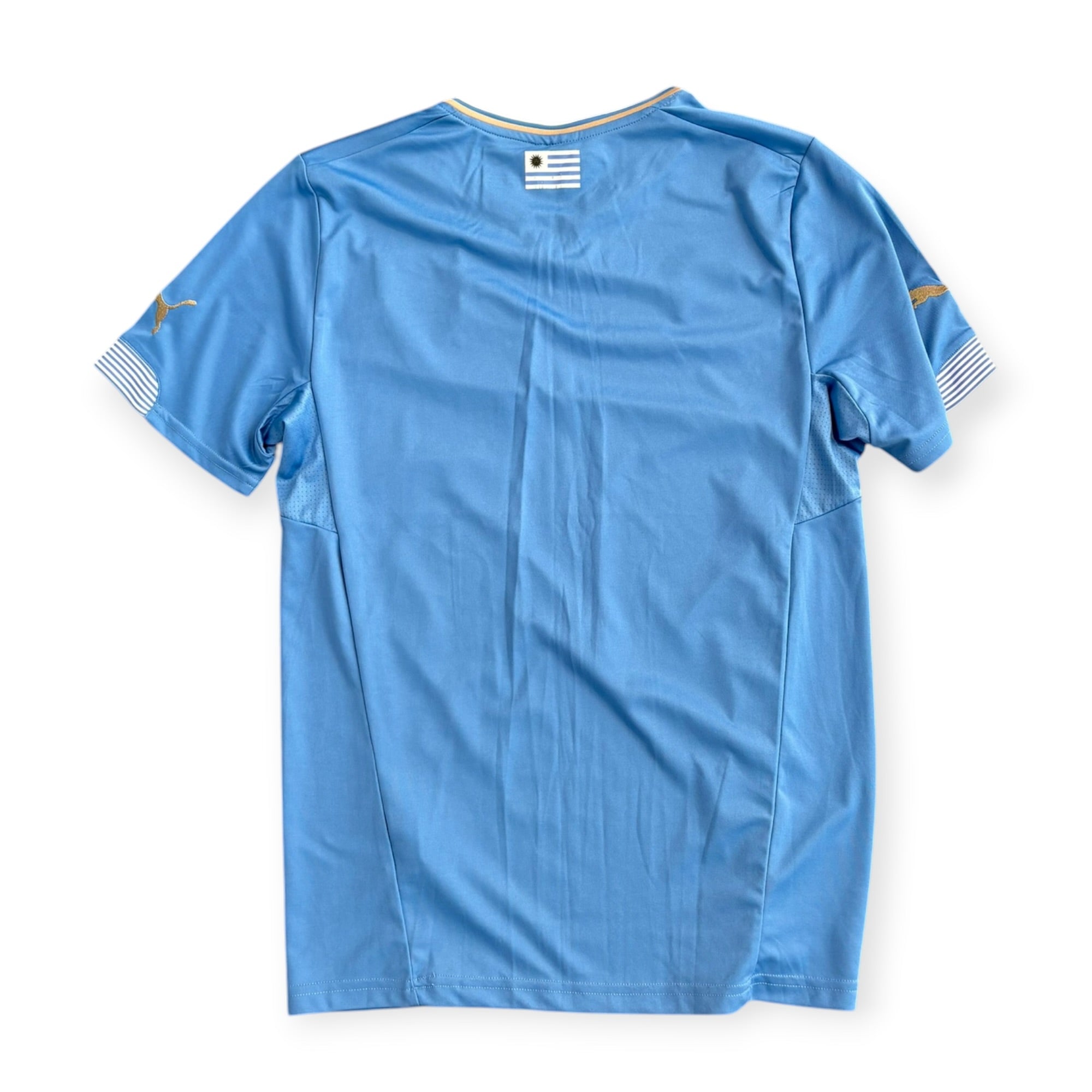 Uruguay 2014 Home (Medium) - KITLAUNCH