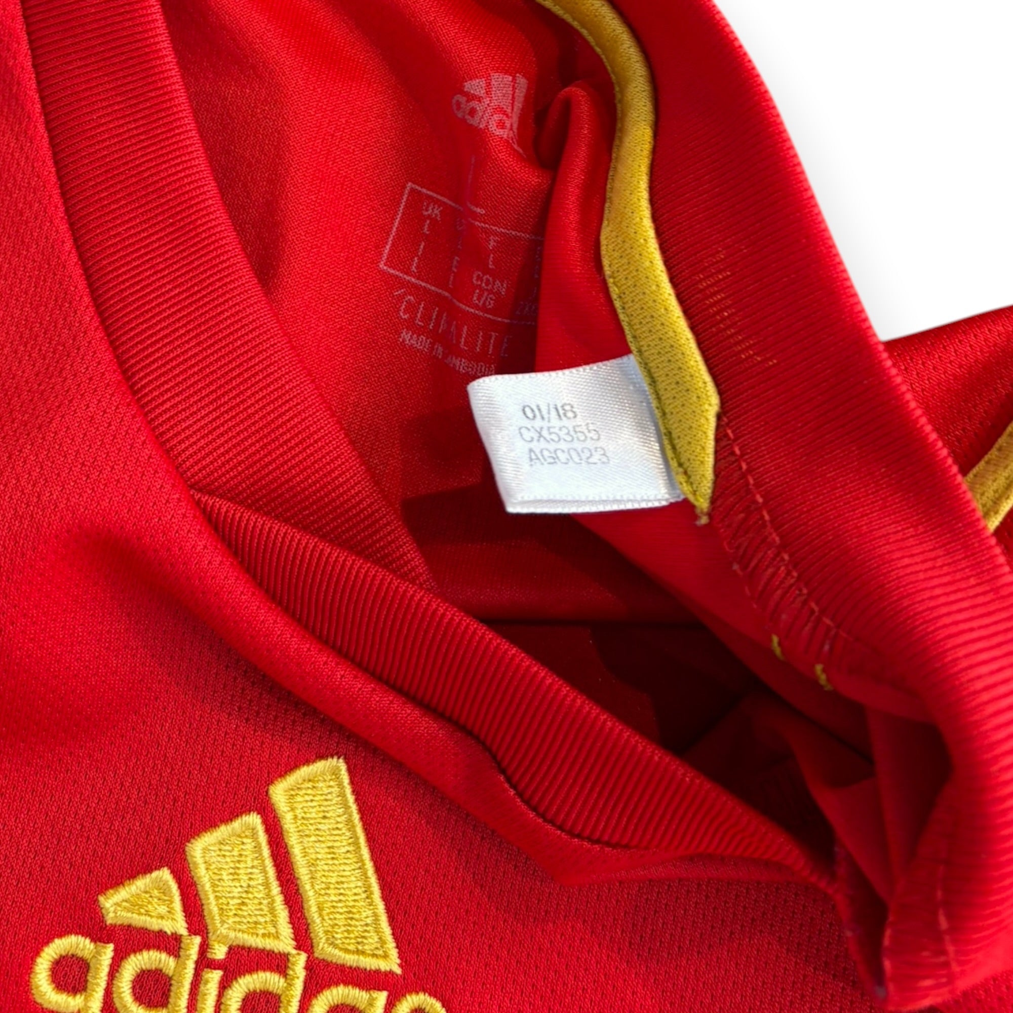 Spain 2018 Home- Iniesta 6 (Large)
