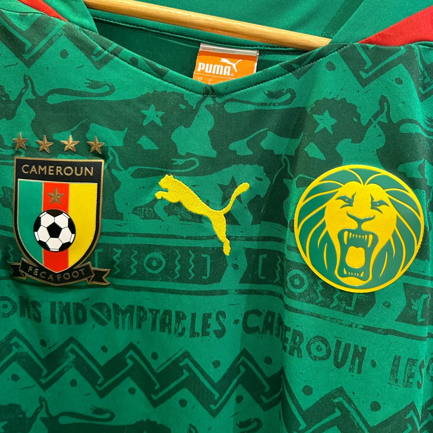 Cameroon 2014 Home (Small)