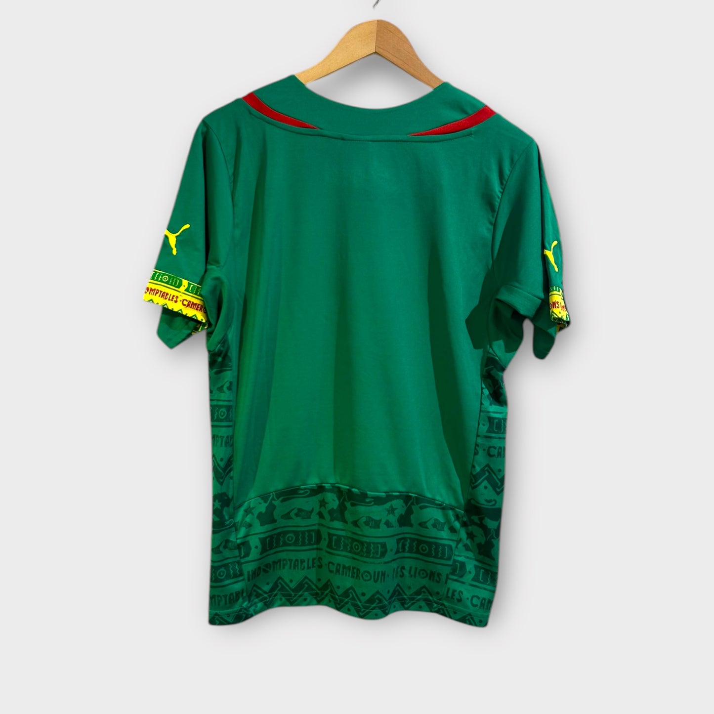 Cameroon 2014 Home (Small)