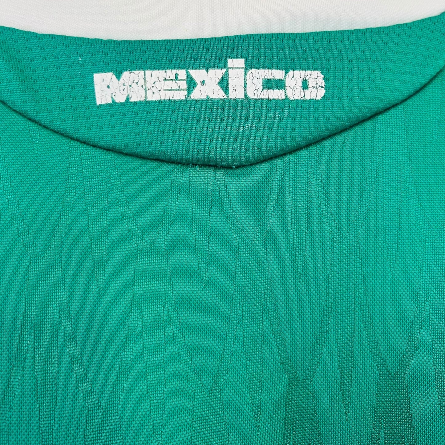 Mexico 2010 Home (Medium)