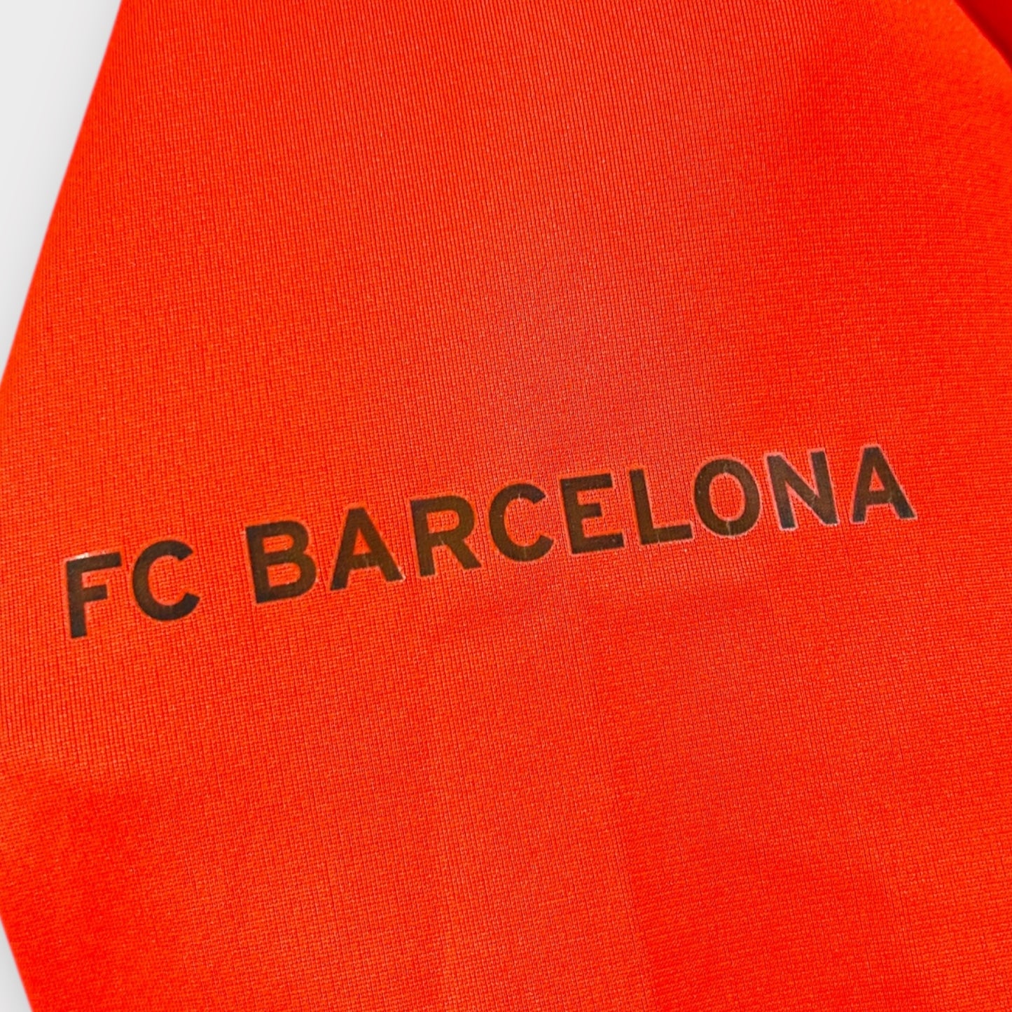 FC Barcelona 2008/09 Training (Large)