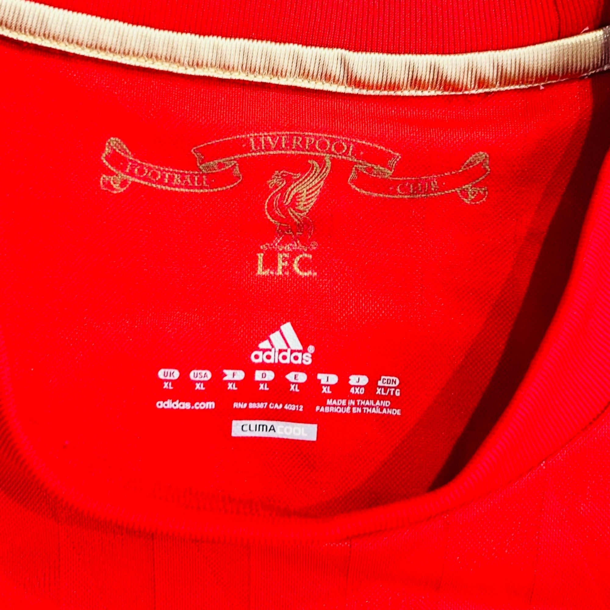 Liverpool FC 2010/11 Home- Torres 9 (XL)