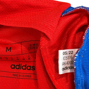 Chile 2022 Home (Medium)