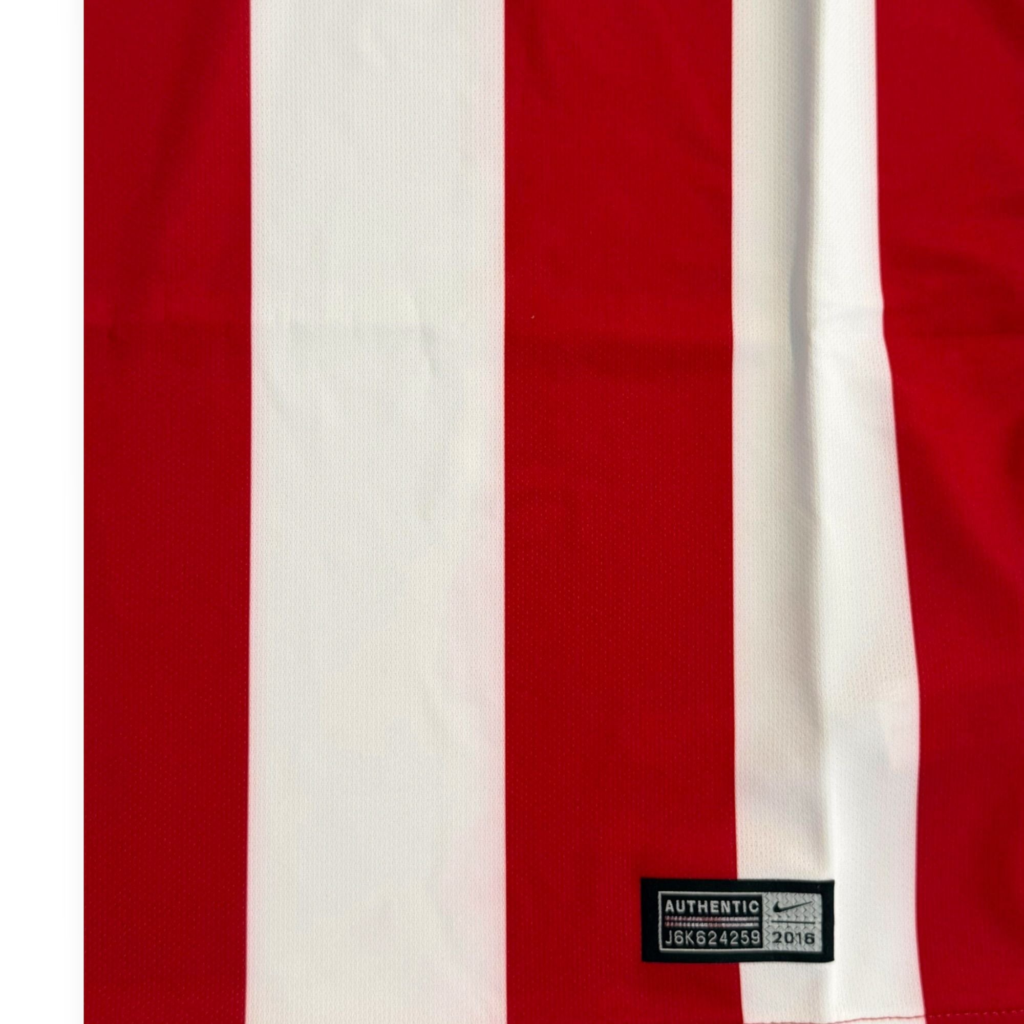 Atletico Madrid 2016/17 Home - Torres 9 (Multiple Sizes)