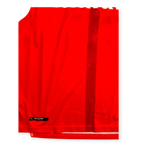 Arsenal 2016/17 Home - Ozil 11 (Small)
