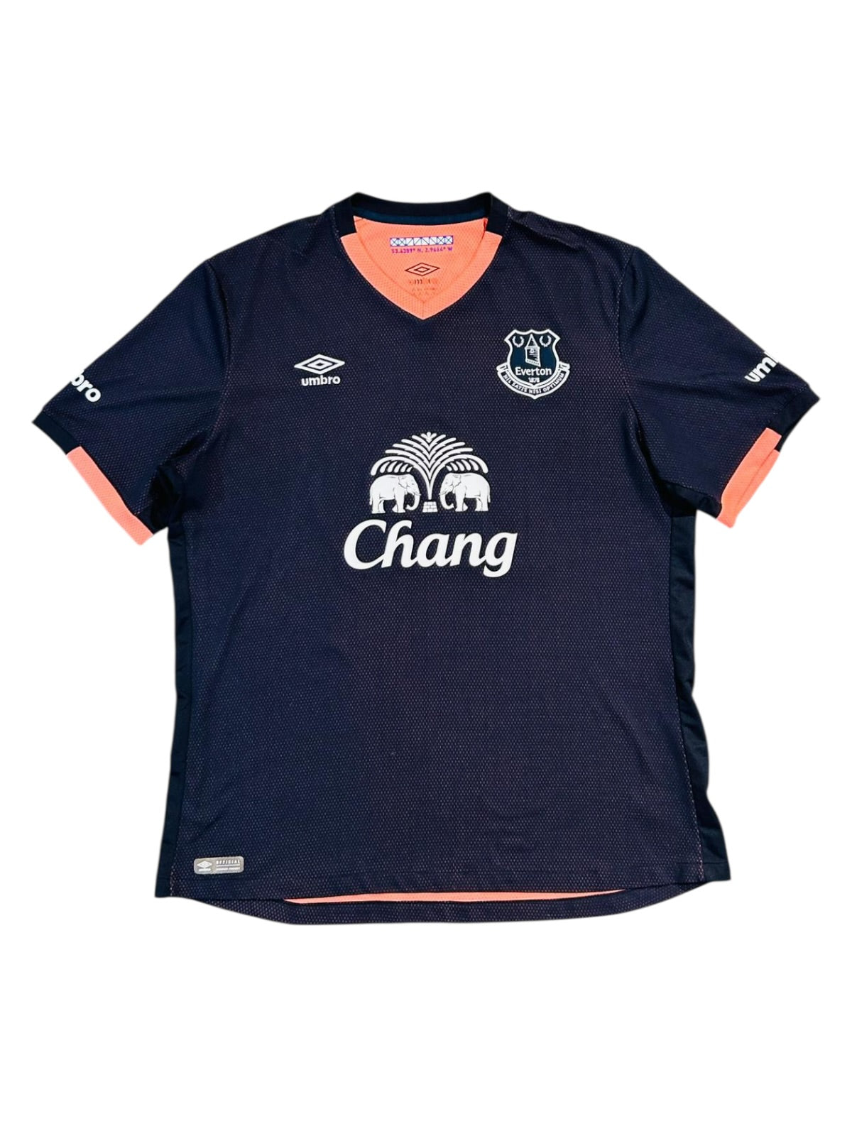 Everton FC 2016/17 Away - Lukaku 10 (Large)