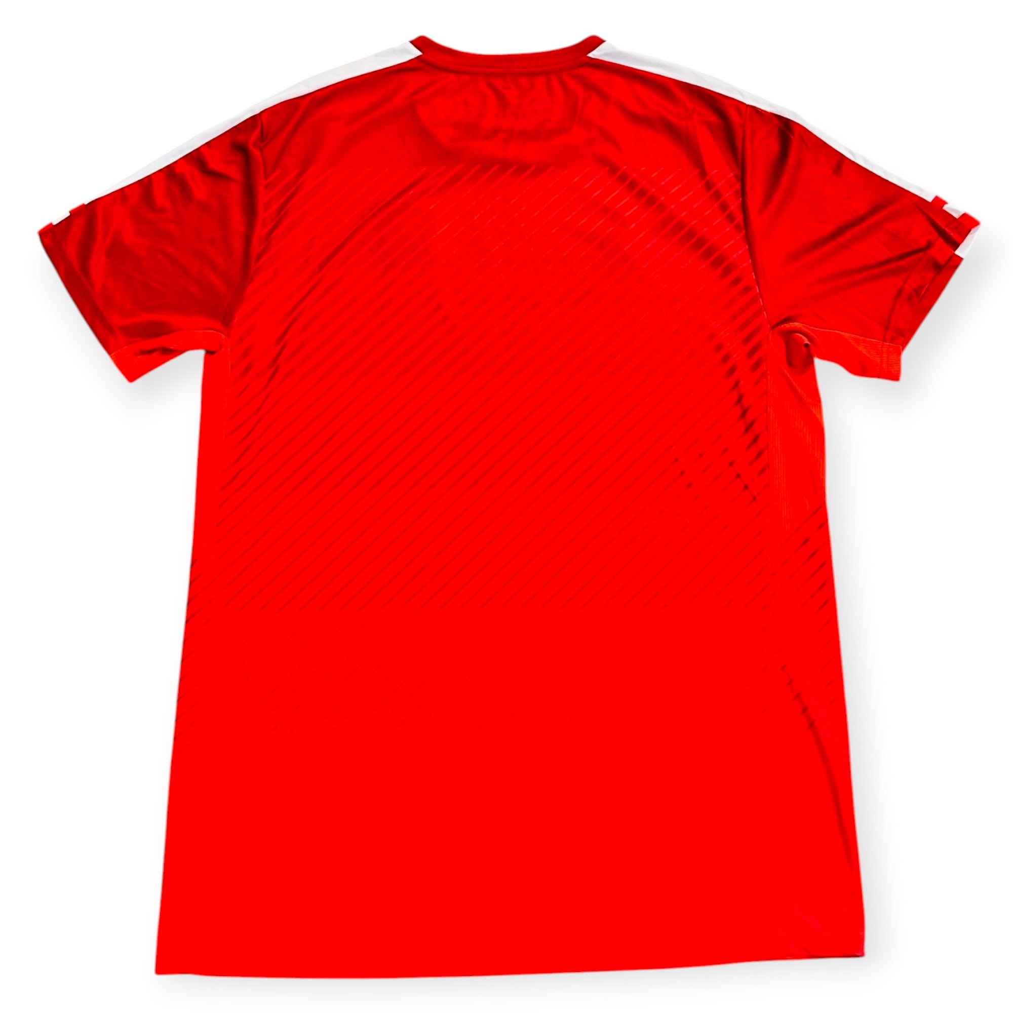 Austria 2016/17 Home (Large) - KITLAUNCH