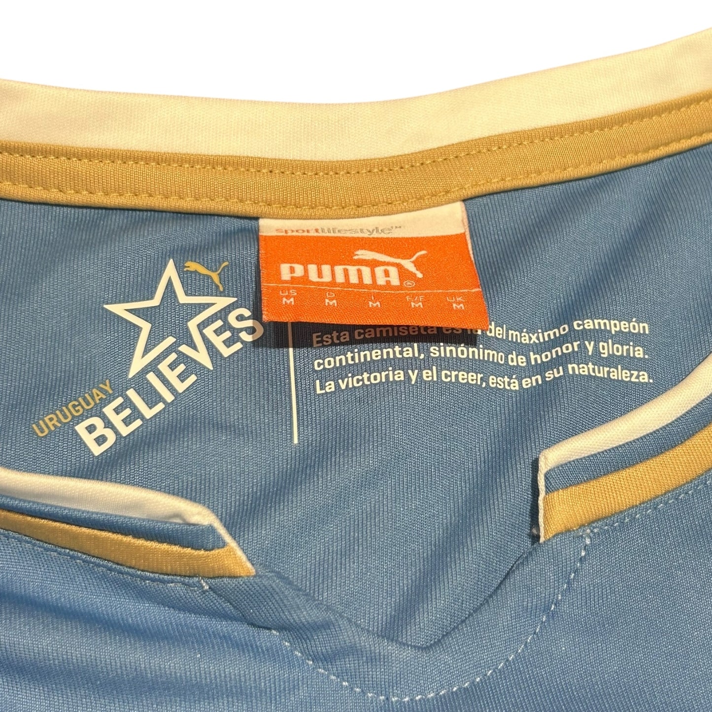 Uruguay 2014 Home (Medium)