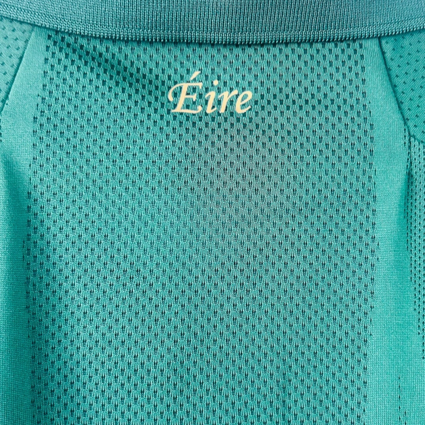 Ireland 2020 Home (Large)