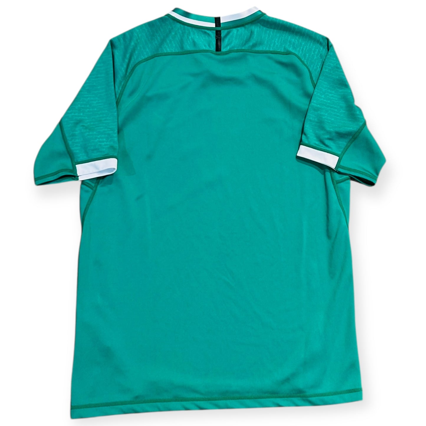 Ireland 2019 Rugby World Cup Jersey (Large)