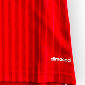 Spain 2014 Home - Sergio Ramos 15 (Medium)
