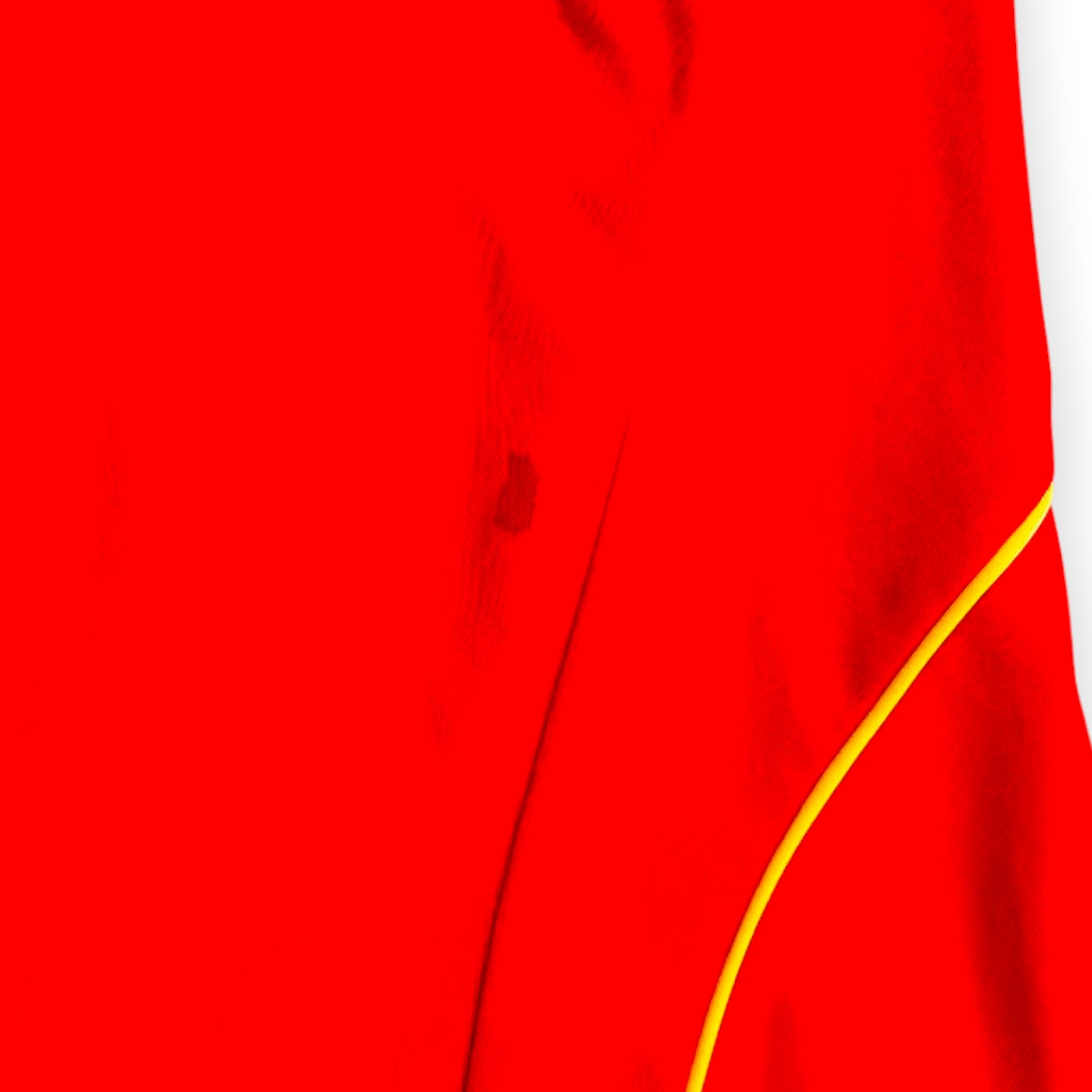 Spain 2008 Home - David Villa 7 (Small)