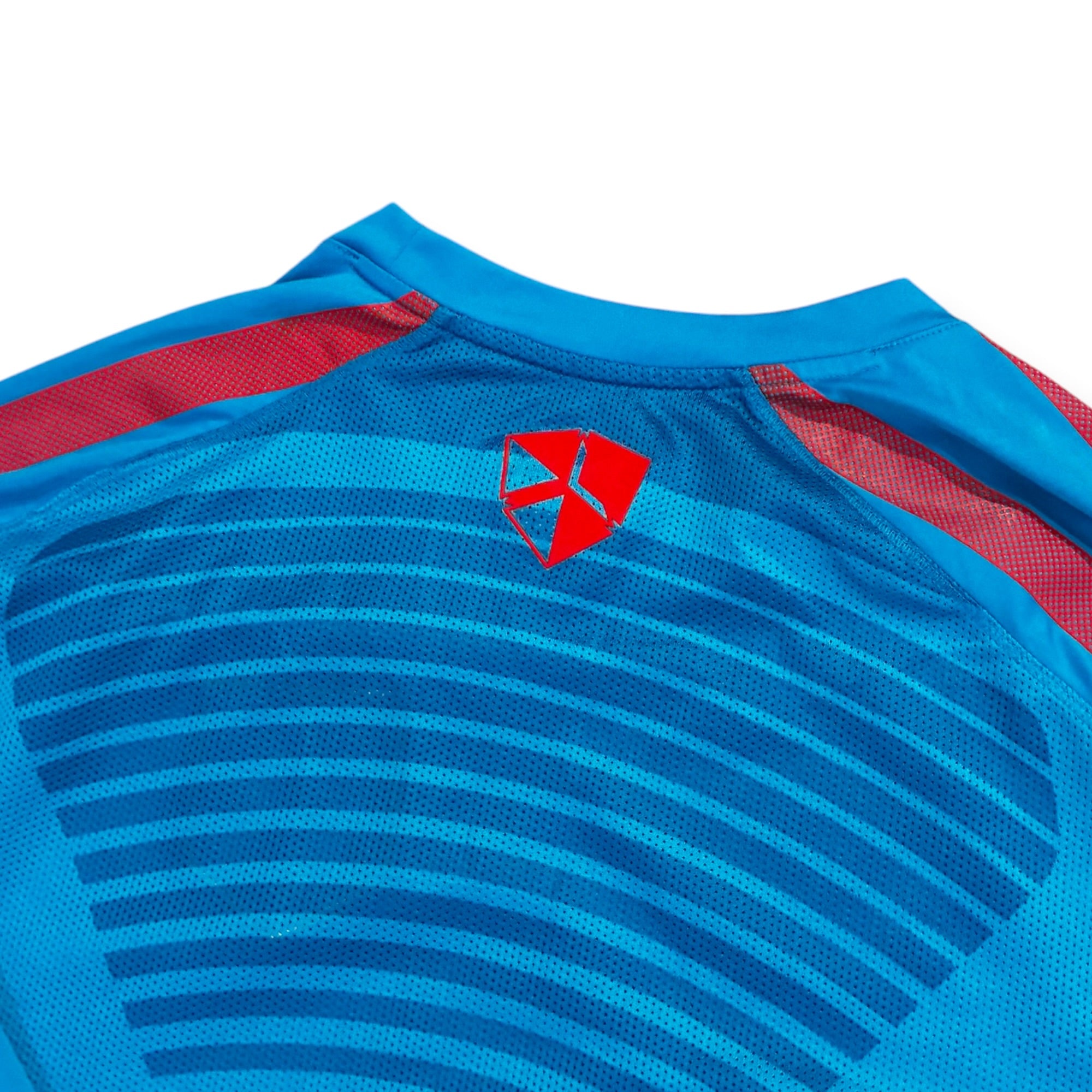 Atletico Madrid 2010/11 Training Shirt L/S (Large)