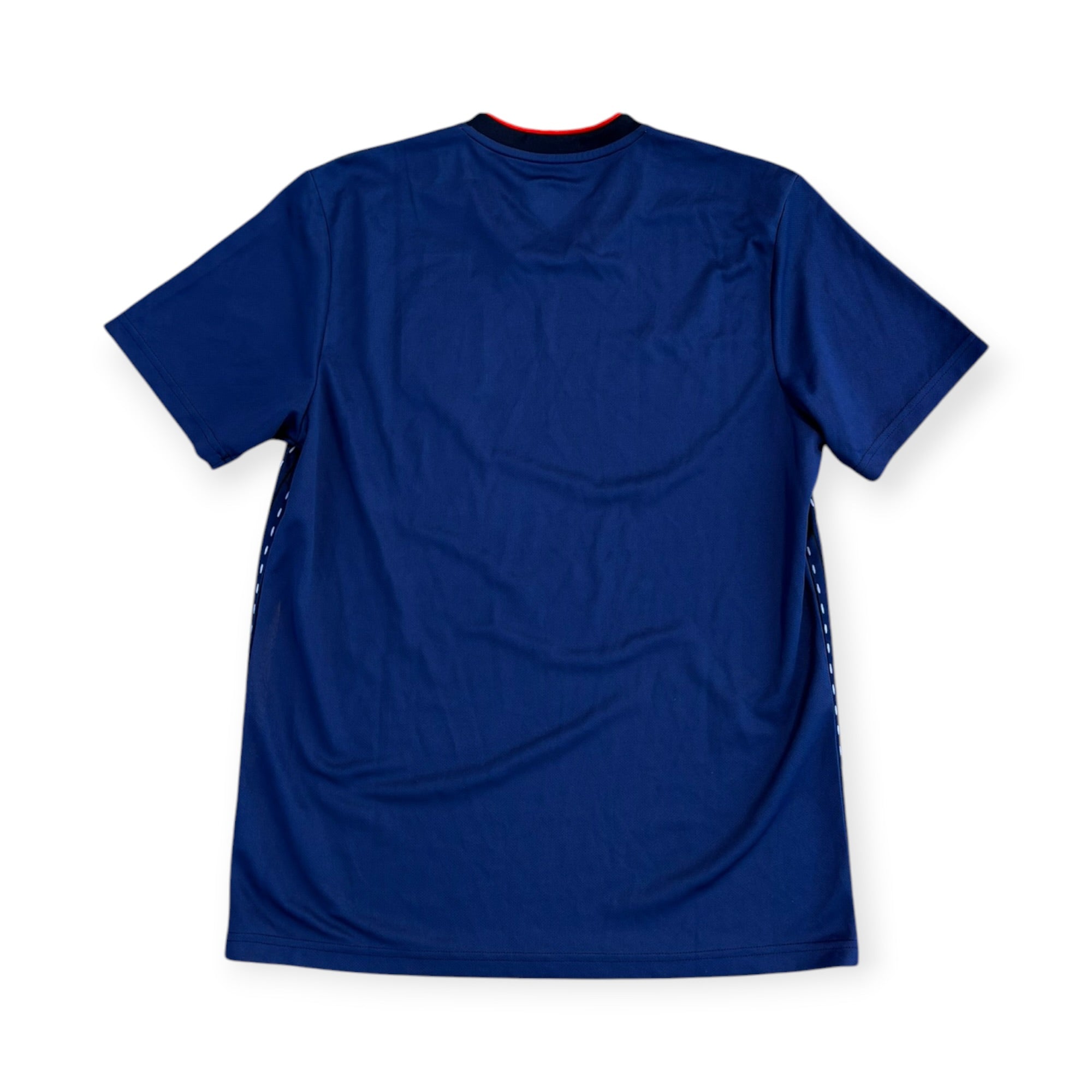 Japan 2018 Home (Medium)