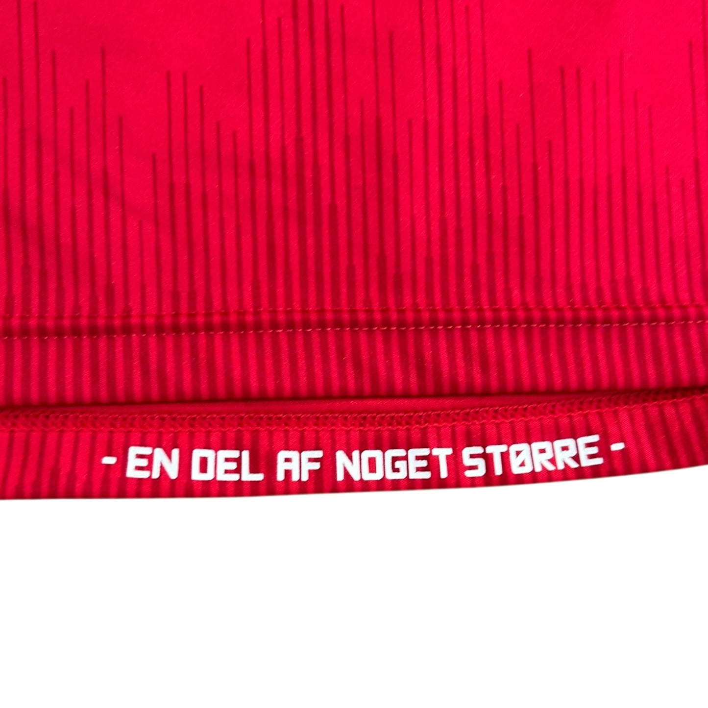 Denmark 2020 Home (Medium)