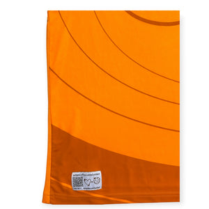 Ivory Coast 2012 Home (Medium)