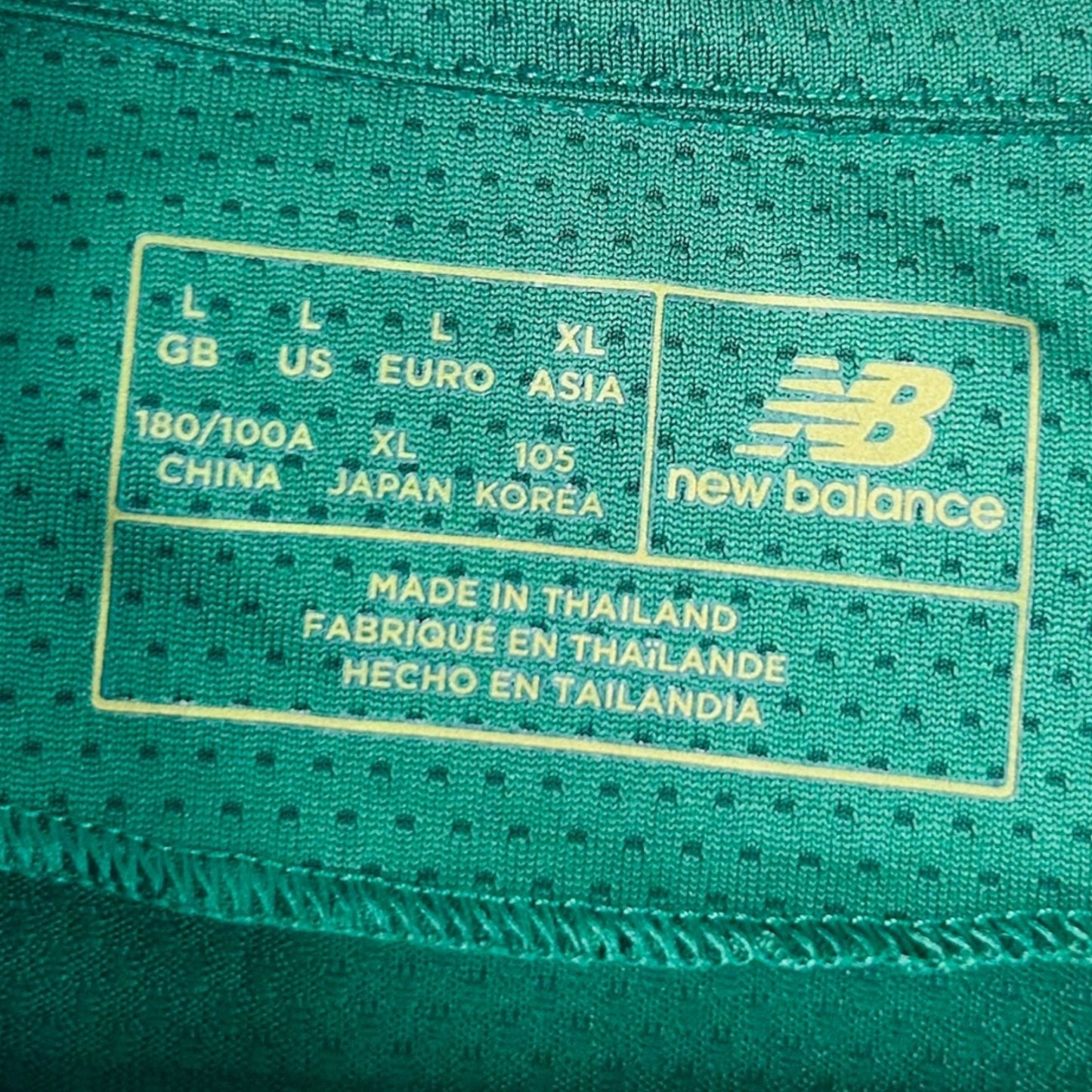 Ireland 2020 Home (Large)